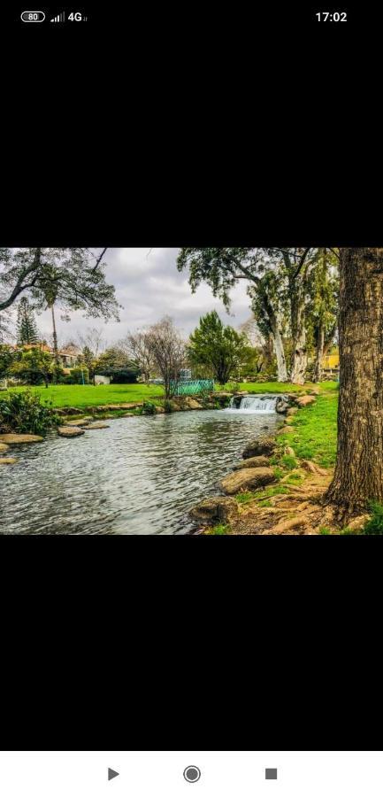 Villa By The River Facing The Hermon In Дафна Екстер'єр фото