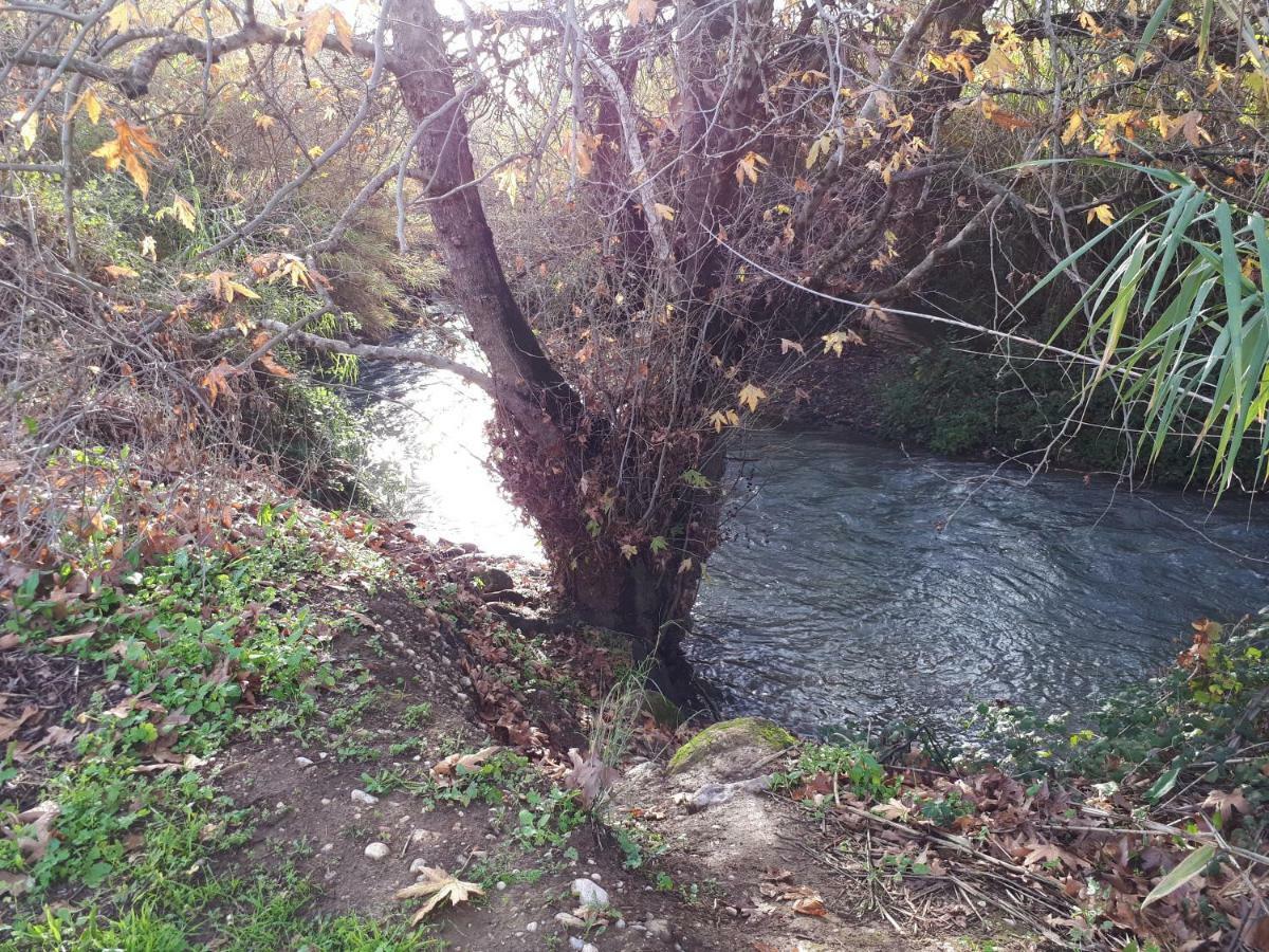 Villa By The River Facing The Hermon In Дафна Екстер'єр фото