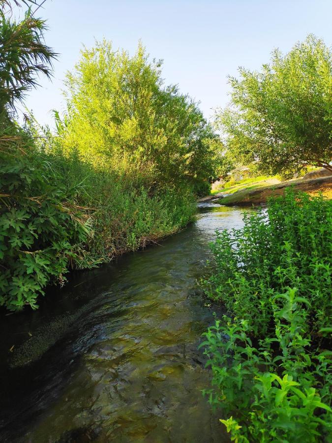 Villa By The River Facing The Hermon In Дафна Екстер'єр фото